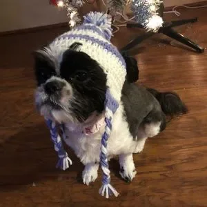 Handmade Dog Crochet Shihtzu Winter Pompom Hat Hand Made New